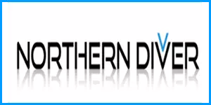 Northern Diver